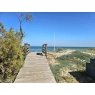 Sad pomarańczowy 350m od plaży w Cullera, Walencja